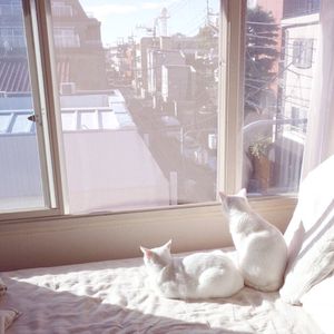 日韩光屁股做爱视频在线观看
