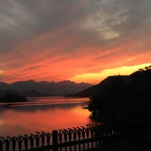 日韩光屁股做爱视频在线观看
