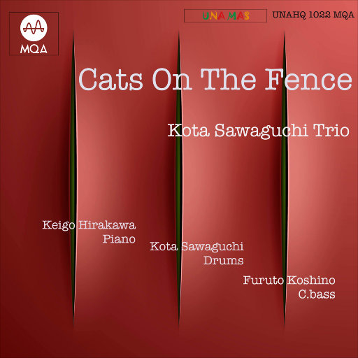 日韩光屁股做爱视频在线观看
